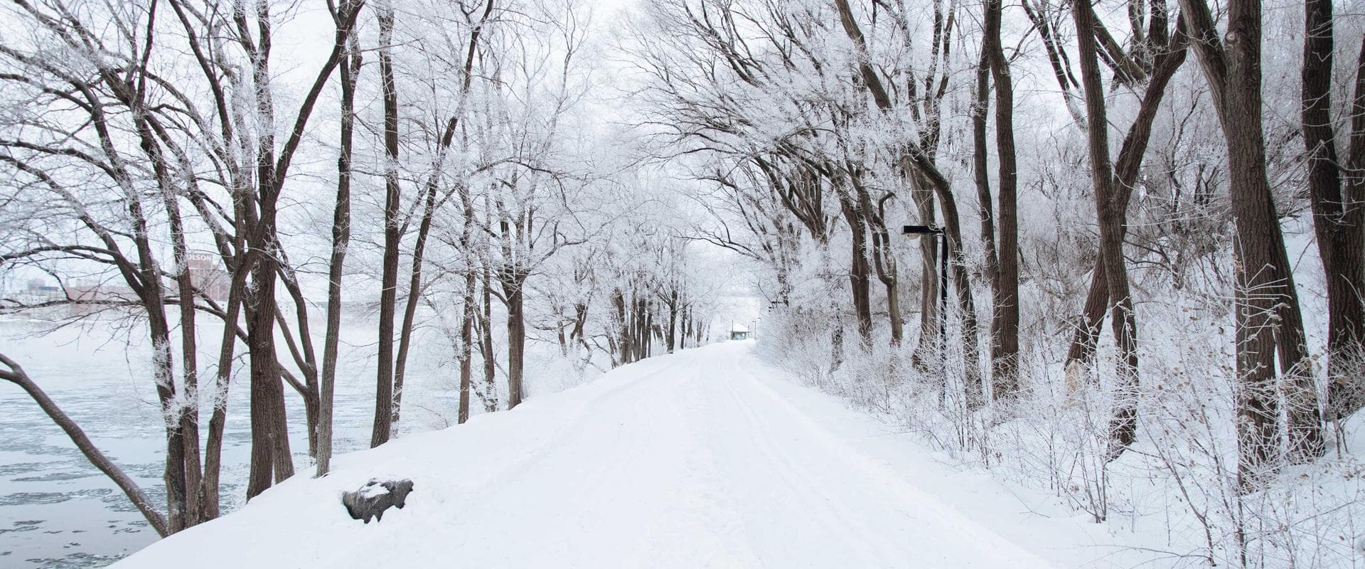 Madhuban Garden Resort aerial view